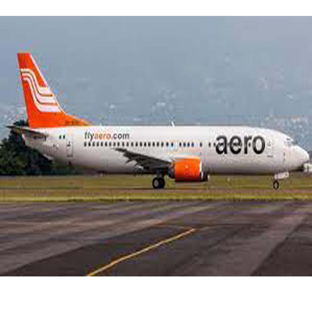 Bird Strike Damages Aero’s B737 Aircraft Blade