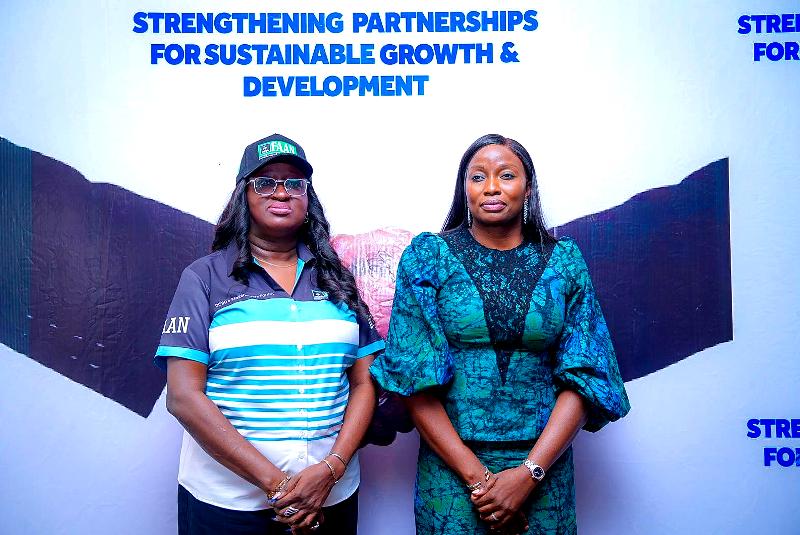 FAAN Generates N2 Billion From Below-The-Line Advertising