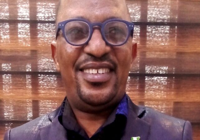 Constraining The Constraints In Nigeria’s Air Freight Sector, By Musa