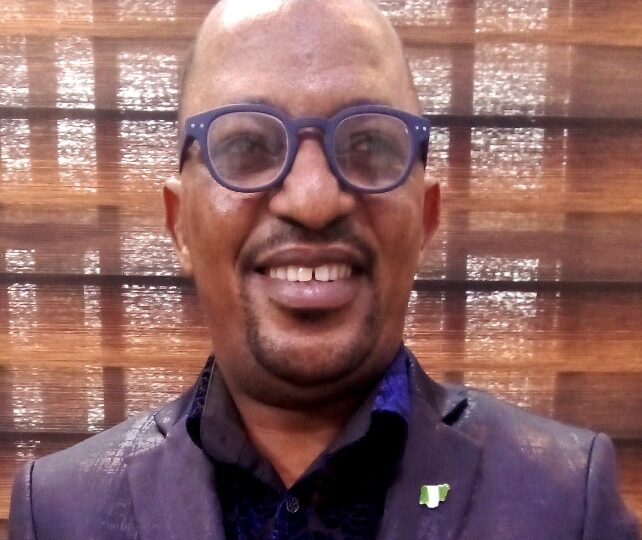 Constraining The Constraints In Nigeria’s Air Freight Sector, By Musa