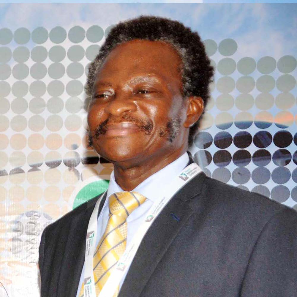 Demuren, Onyema To Lead Talks On Survival Of Nigerian Carriers