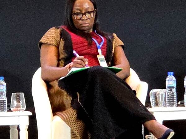 FAAN MD Highlights Success Requirements For PPP, Airport Projects Financing