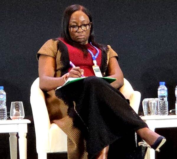 FAAN MD Highlights Success Requirements For PPP, Airport Projects Financing