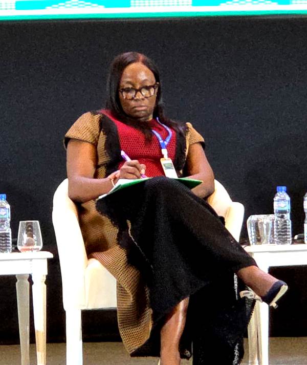 FAAN MD Highlights Success Requirements For PPP, Airport Projects Financing