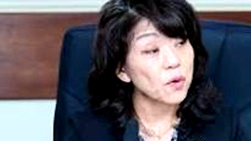 Some Principles Guiding Aviation PPP In Japan, By Ministry Secretariat