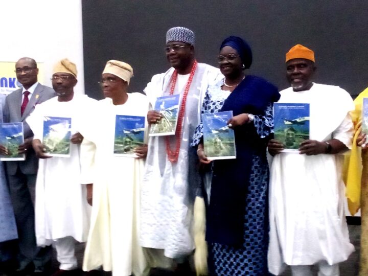 Help Nigerian Airlines Go Through Teething Pains, Says Ogun Deputy Governor